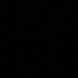 Meet your Posher, Lyric